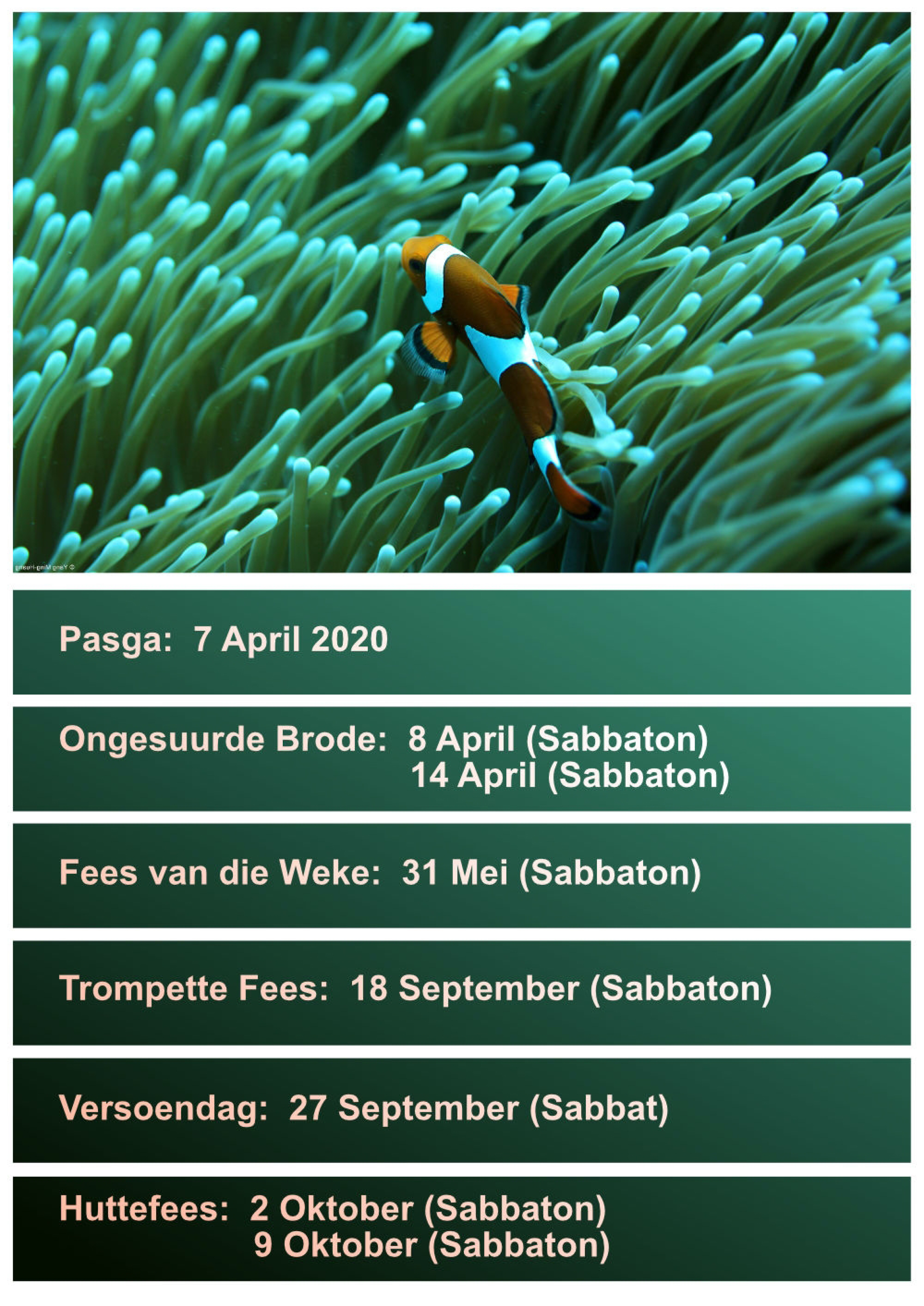 Kalender 2020-1