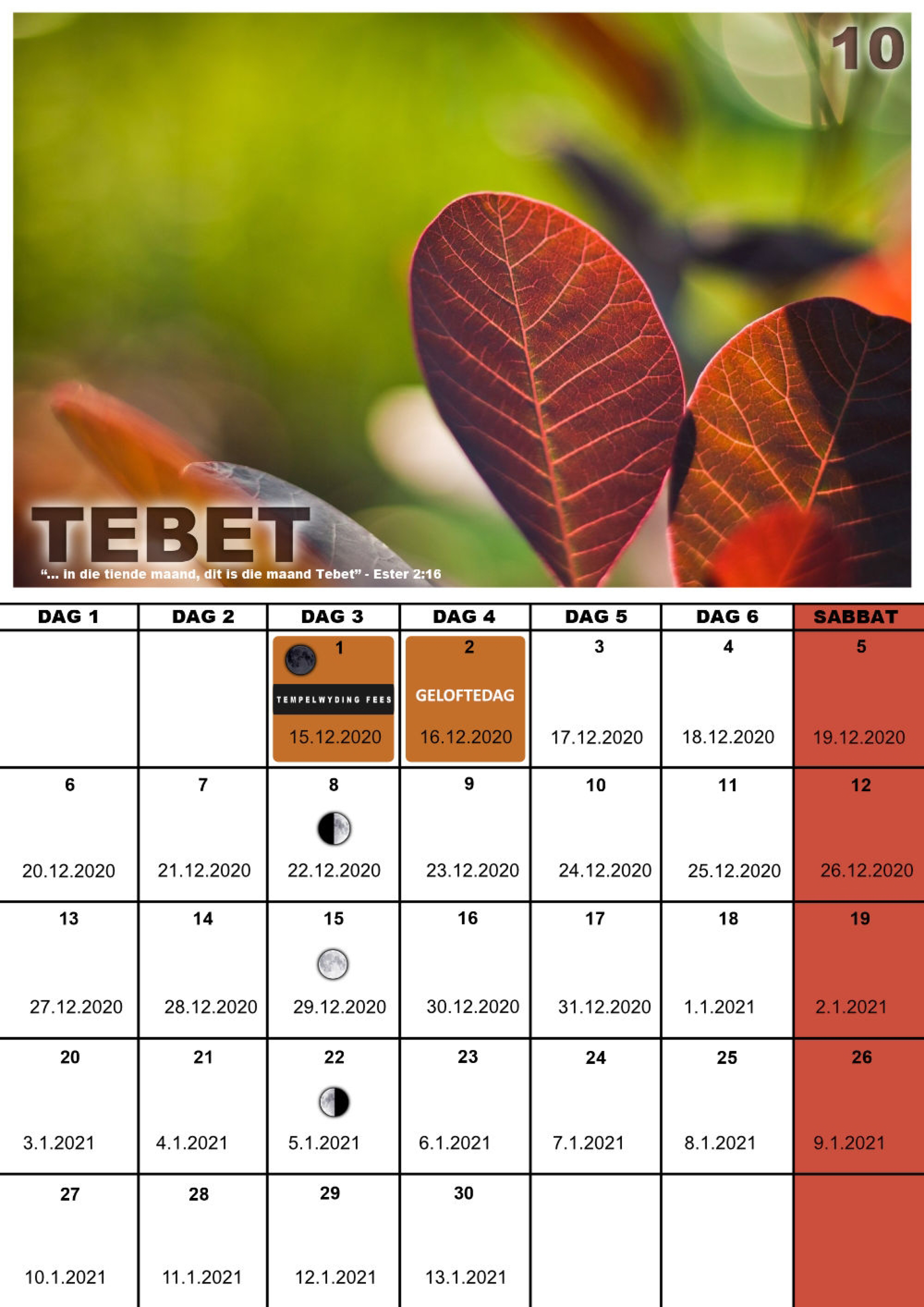 Kalender 2020-10