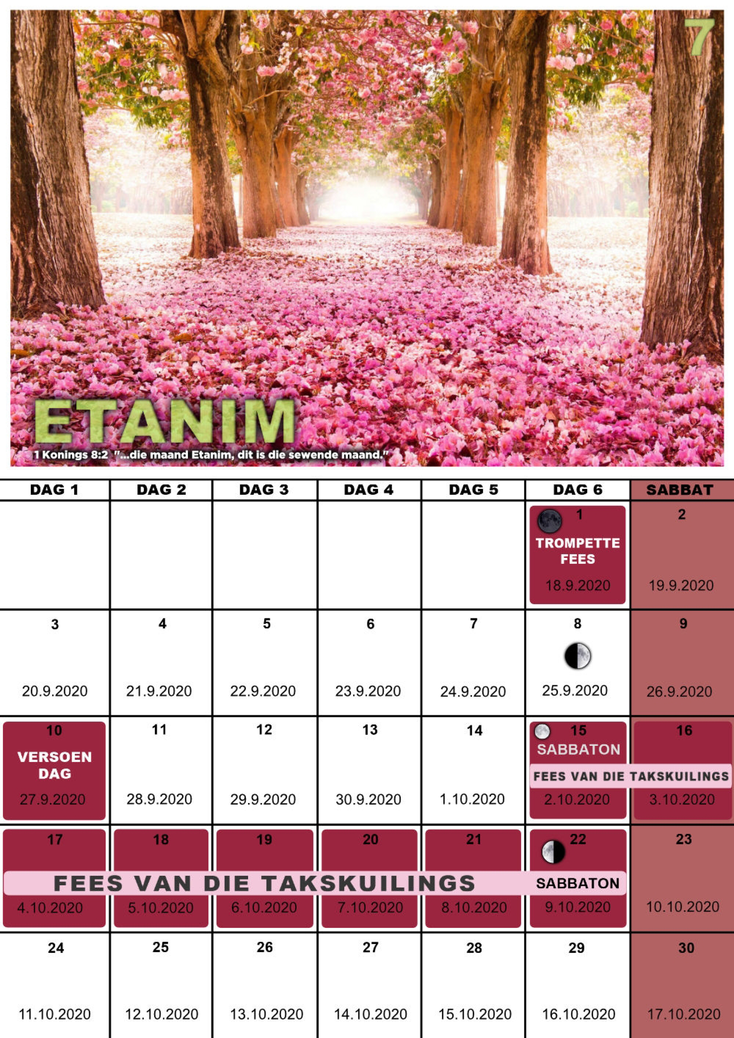 Kalender 2020-7